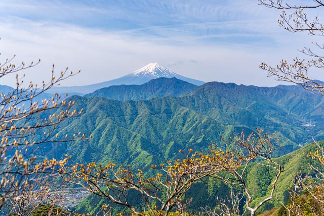 新緑の山々と富士山＠浜立・寂ショウ尾根分岐付近