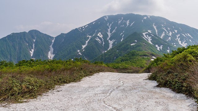中ノ岳を眺めながら雪渓を進む
