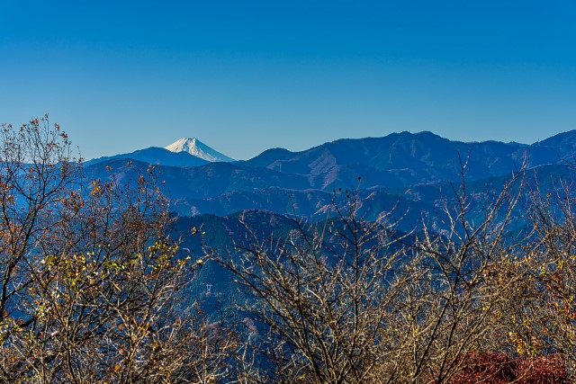 富士山、棒ノ嶺、川苔山＠関八州見晴台