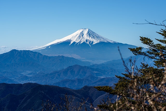 富士山＠三頭山西峰