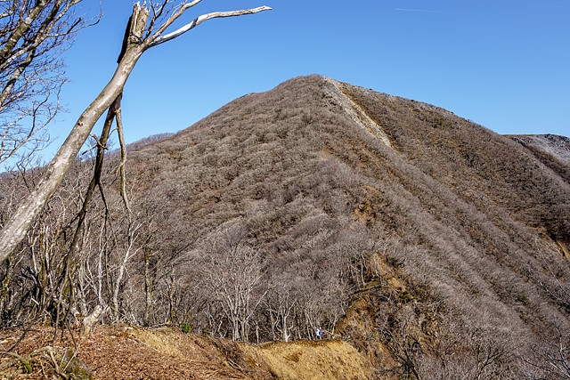 藤原岳への最後の斜面
