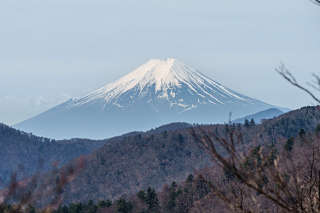 富士山を仰ぐ＠酉谷山