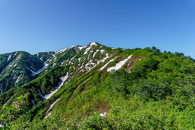 千本峰と前杁差岳を見上げる