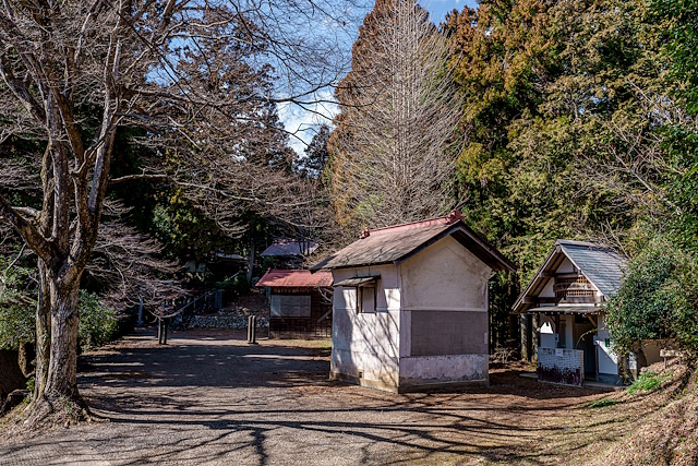 諏訪神社の境内