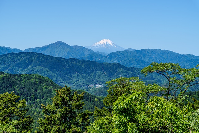 富士山よく見える＠高尾山展望台