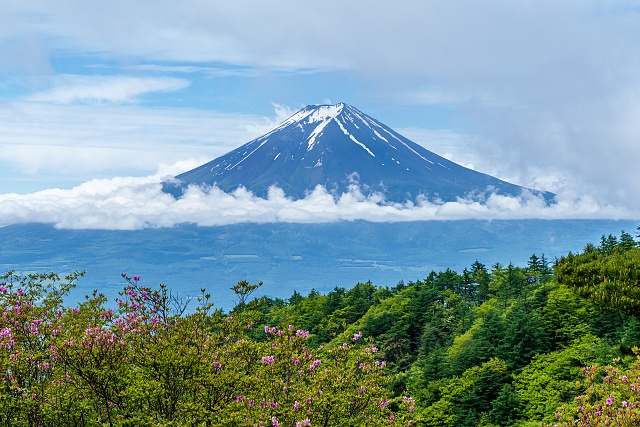 ガスが払われて富士山を展望