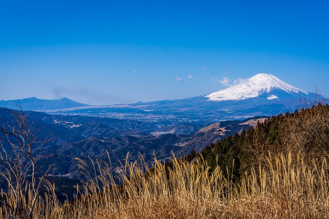 高松山から仰ぐ富士山