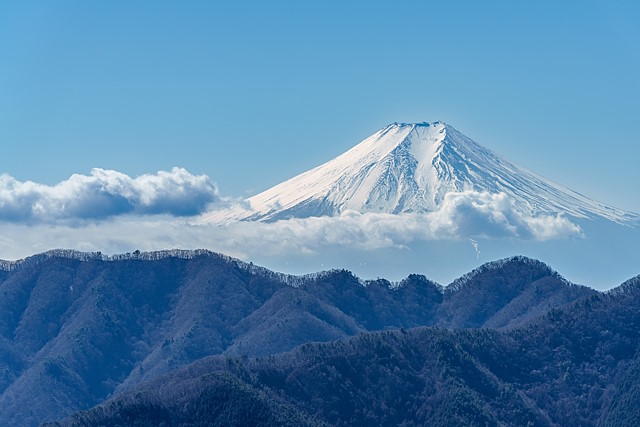槇寄山から仰ぐ富士山