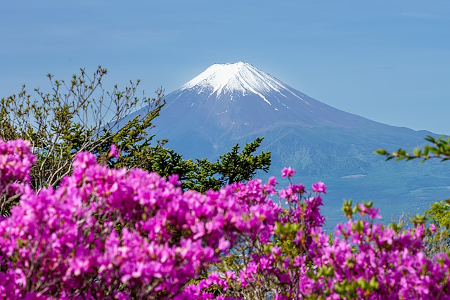 富士山を仰ぐ＠三ッ峠山（開運山）