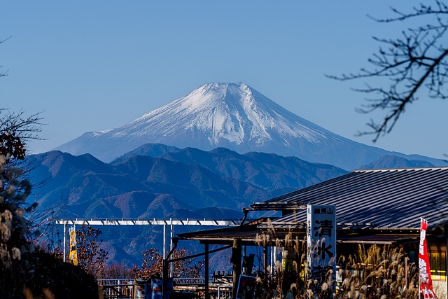 陣馬山から仰ぐ富士山