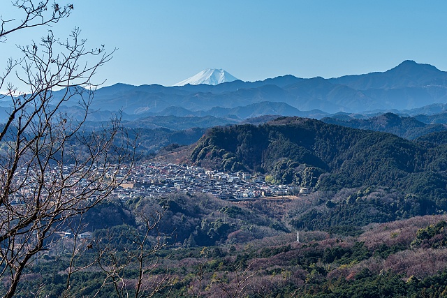 我が街と富士山・大岳山＠日和田山・金刀比羅神社